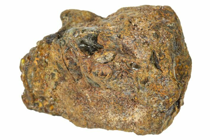 Pallasite Meteorite ( g) - NWA #367791